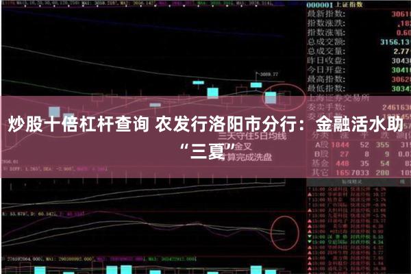 炒股十倍杠杆查询 农发行洛阳市分行：金融活水助“三夏”