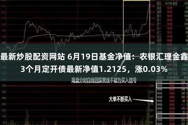 最新炒股配资网站 6月19日基金净值：农银汇理金鑫3个月定开债最新净值1.2125，涨0.03%