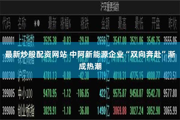 最新炒股配资网站 中阿新能源企业“双向奔赴”渐成热潮