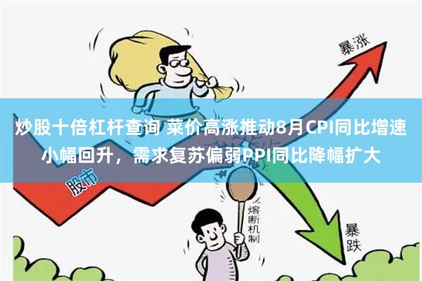 炒股十倍杠杆查询 菜价高涨推动8月CPI同比增速小幅回升，需求复苏偏弱PPI同比降幅扩大