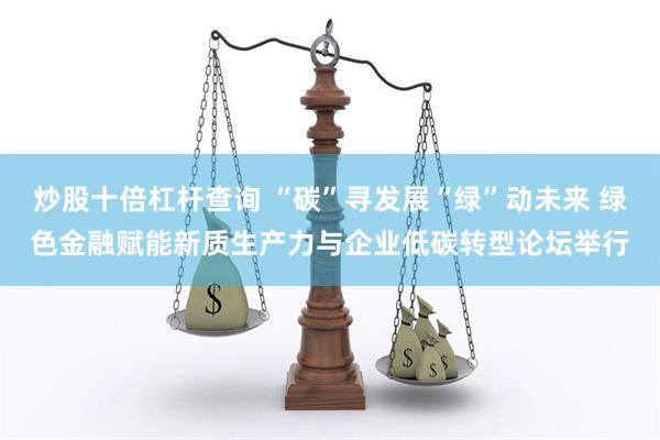 炒股十倍杠杆查询 “碳”寻发展“绿”动未来 绿色金融赋能新质生产力与企业低碳转型论坛举行