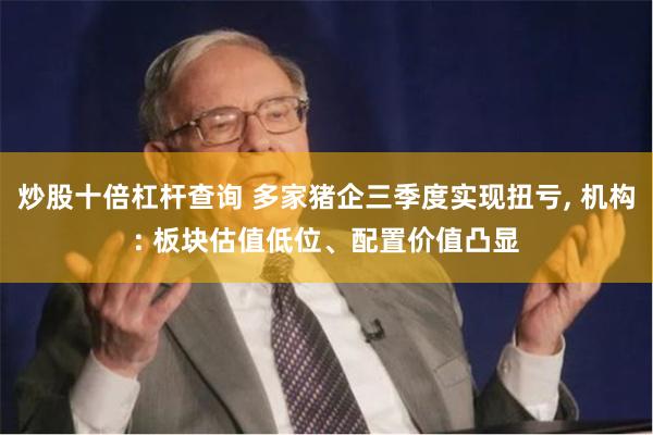 炒股十倍杠杆查询 多家猪企三季度实现扭亏, 机构: 板块估值低位、配置价值凸显