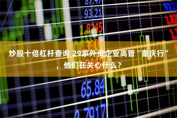 炒股十倍杠杆查询 29家外资企业高管“重庆行”，他们在关心什么？