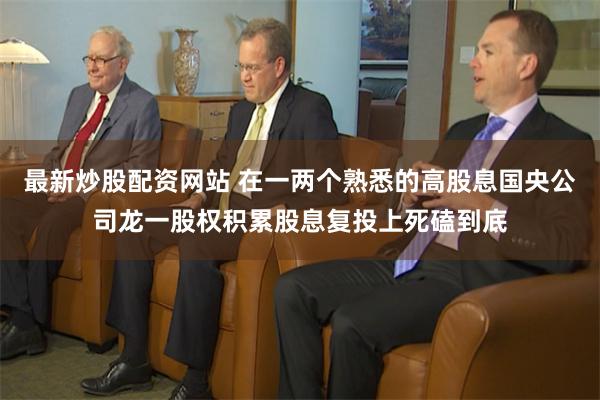 最新炒股配资网站 在一两个熟悉的高股息国央公司龙一股权积累股息复投上死磕到底