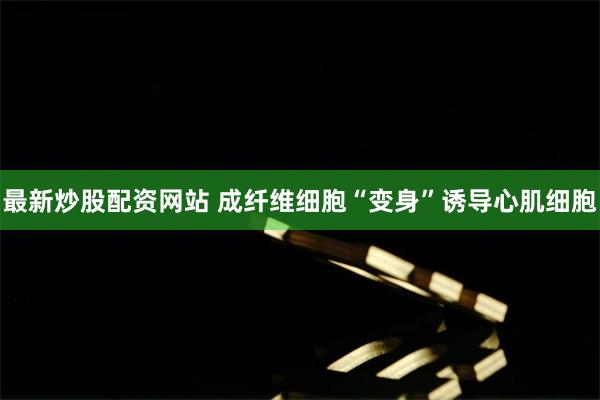 最新炒股配资网站 成纤维细胞“变身”诱导心肌细胞