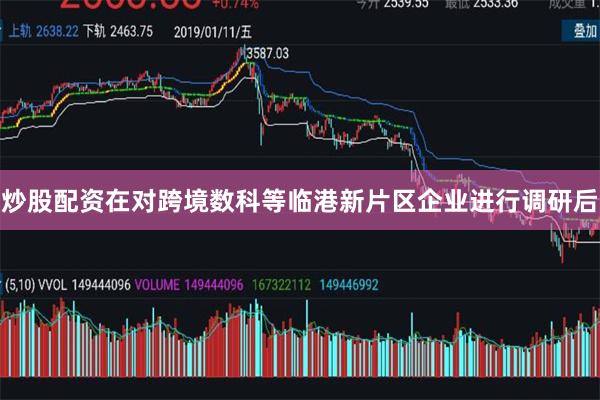 炒股配资　　在对跨境数科等临港新片区企业进行调研后