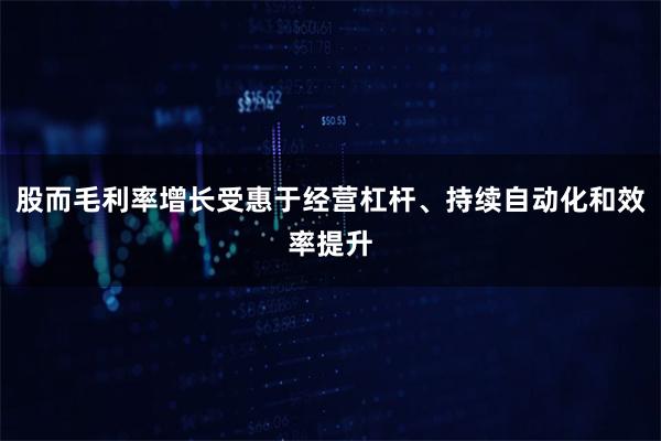 股而毛利率增长受惠于经营杠杆、持续自动化和效率提升
